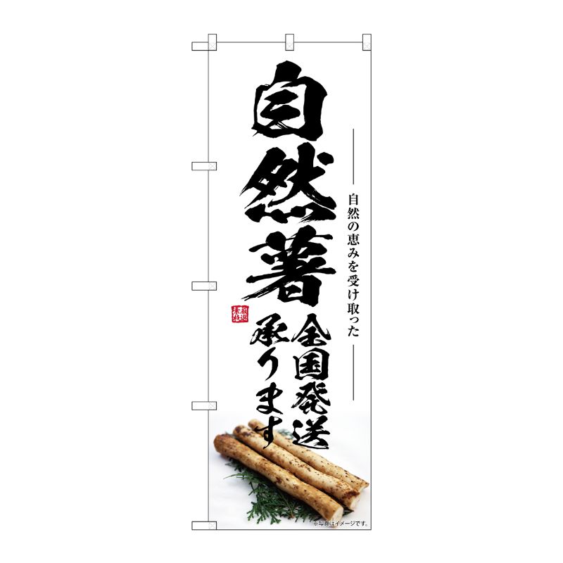 [G] のぼり 自然薯 全国発送承ります SNB-7418 P・O・Pプロダクツ