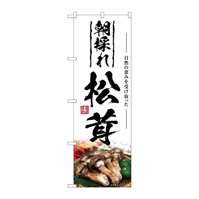 [G] のぼり 松茸 朝採れ SNB-7427 P・O・Pプロダクツ