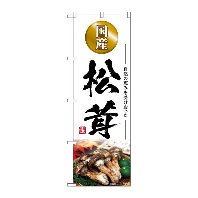 [G] のぼり 松茸 国産 SNB-7429 P・O・Pプロダクツ