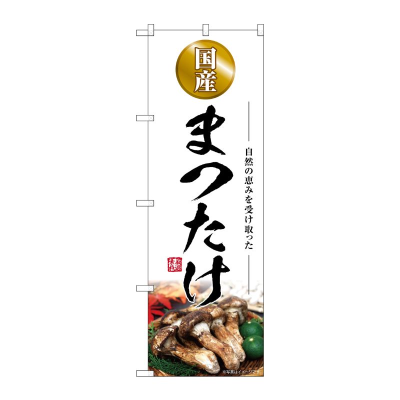 [G] のぼり まつたけ 国産 SNB-7430 P・O・Pプロダクツ