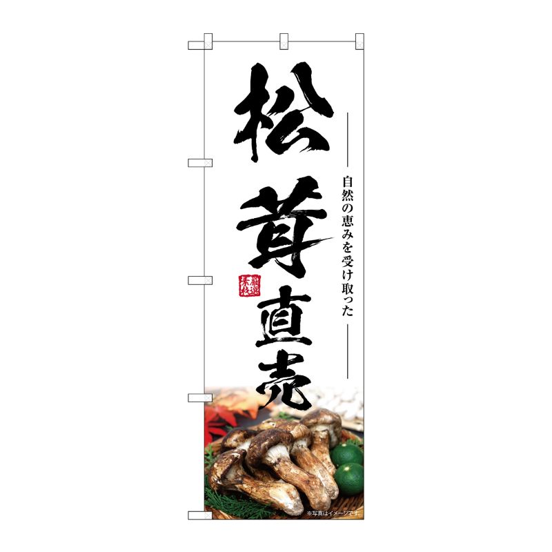 [G] のぼり 松茸直売 SNB-7435 P・O・Pプロダクツ