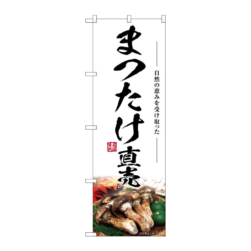 [G] のぼり まつたけ直売 SNB-7436 P・O・Pプロダクツ