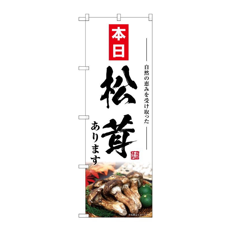 [G] のぼり 松茸あります 本日 SNB-7437 P・O・Pプロダクツ