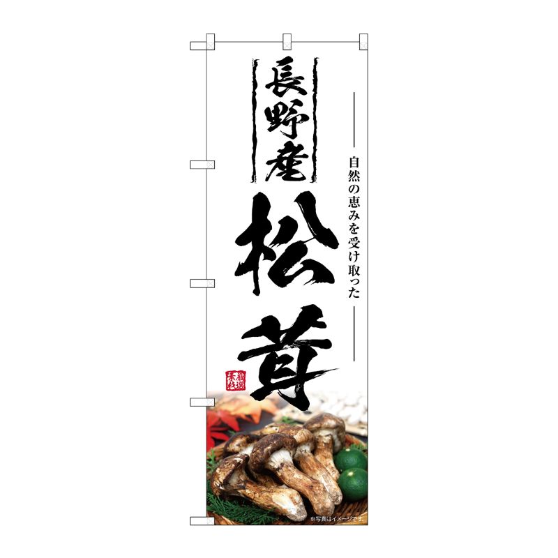 [G] のぼり 長野産松茸 SNB-7442 P・O・Pプロダクツ