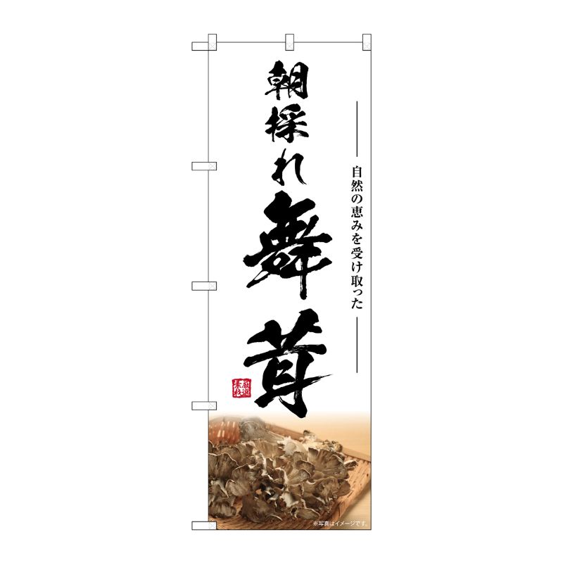 [G] のぼり 舞茸 朝採れ SNB-7449 P・O・Pプロダクツ