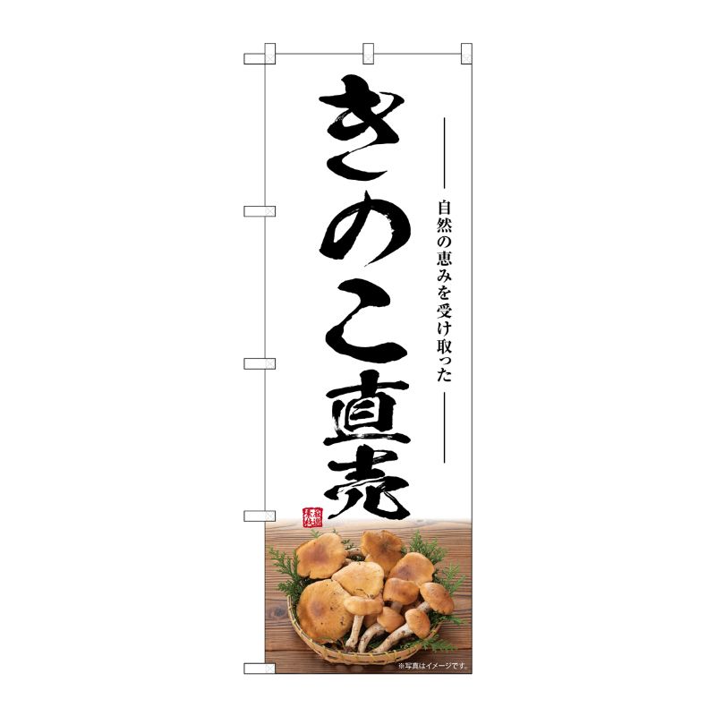 [G] のぼり きのこ直売 SNB-7482 P・O・Pプロダクツ