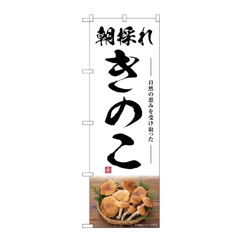 [G] のぼり きのこ 朝採れ SNB-7485 P・O・Pプロダクツ