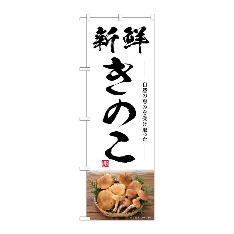 [G] のぼり きのこ 新鮮 SNB-7486 P・O・Pプロダクツ