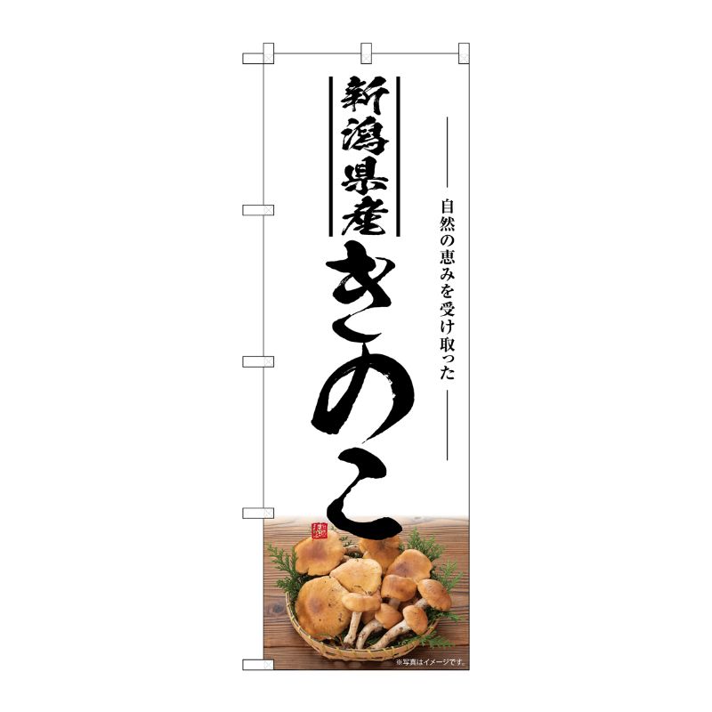 [G] のぼり きのこ 新潟県産 SNB-7494 P・O・Pプロダクツ