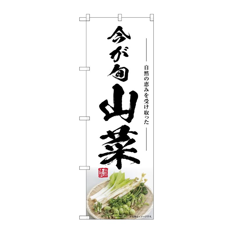 [G] のぼり 山菜 今が旬 SNB-7500 P・O・Pプロダクツ