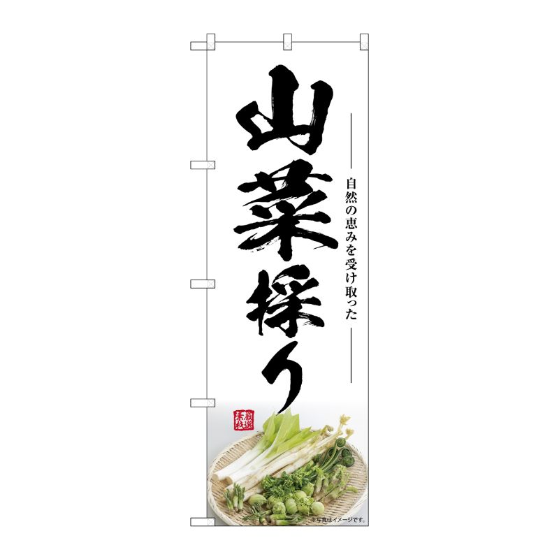 [G] のぼり 山菜採り SNB-7507 P・O・Pプロダクツ