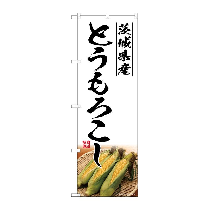 [G] のぼり とうもろこし 茨城県産 SNB-7532 P・O・Pプロダクツ