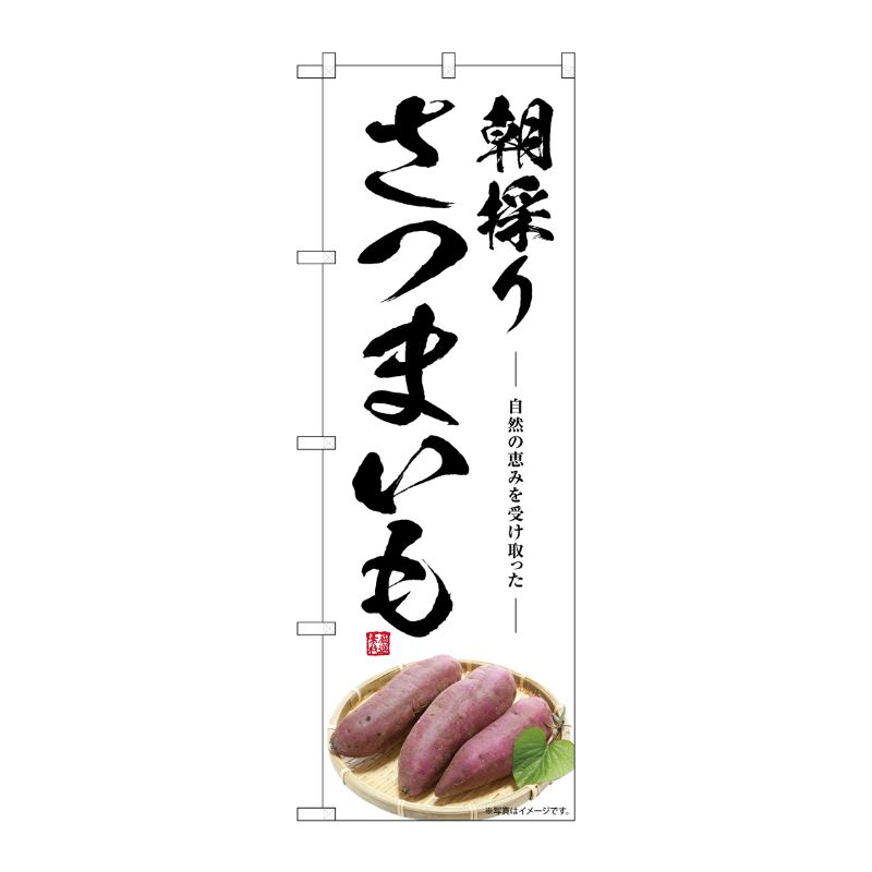 [G] のぼり さつまいも 朝採り SNB-7538 P・O・Pプロダクツ