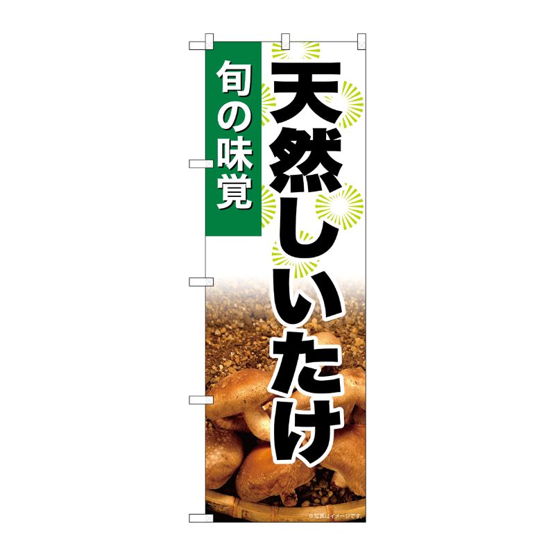 [G] のぼり 天然しいたけ SNB-7609 P・O・Pプロダクツ