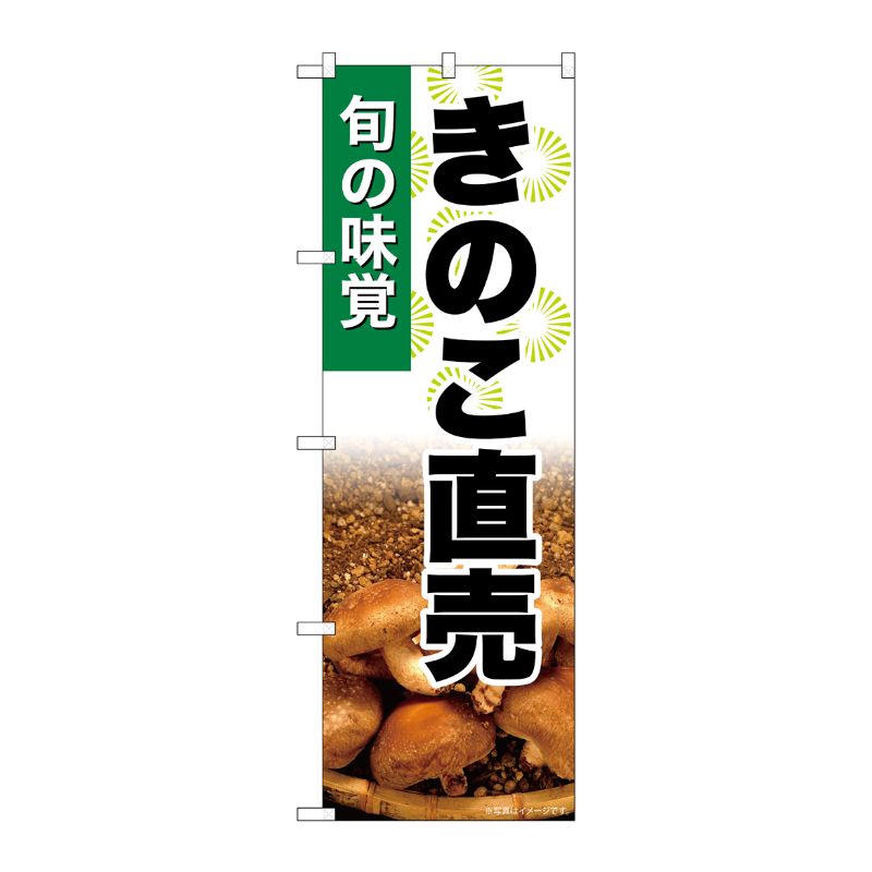 [G] のぼり きのこ直売 SNB-7613 P・O・Pプロダクツ