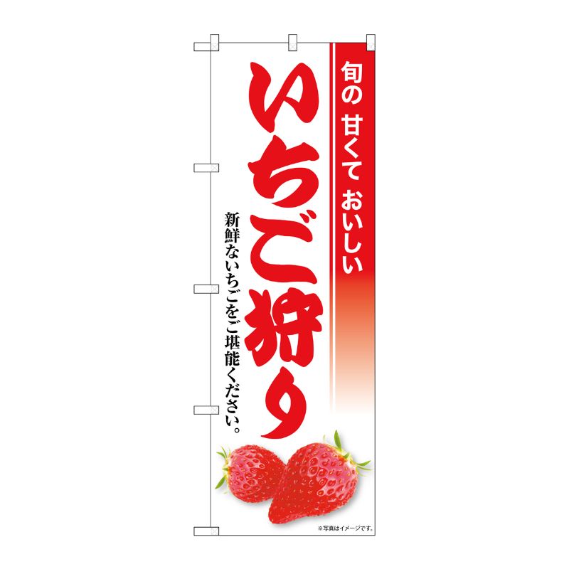 [G] のぼり いちご狩り SNB-8423 P・O・Pプロダクツ