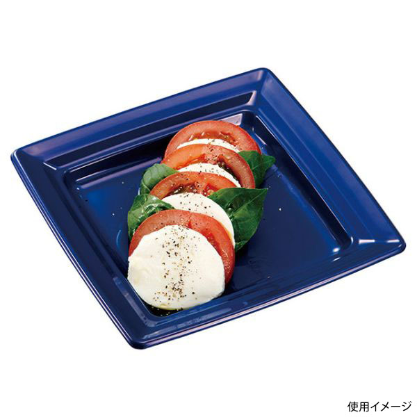 軽食容器 CT 沙楽 K18-18 紺-BK 身 中央化学