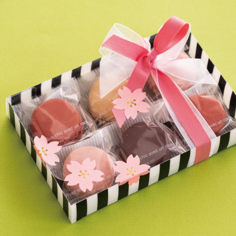 ギフト箱 フィエルテフラットPETクリアBOX-2(10枚) ヘッズ