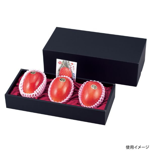 ギフト箱 L-2175 マンゴー3ヶ入黒 ヤマニパッケージ