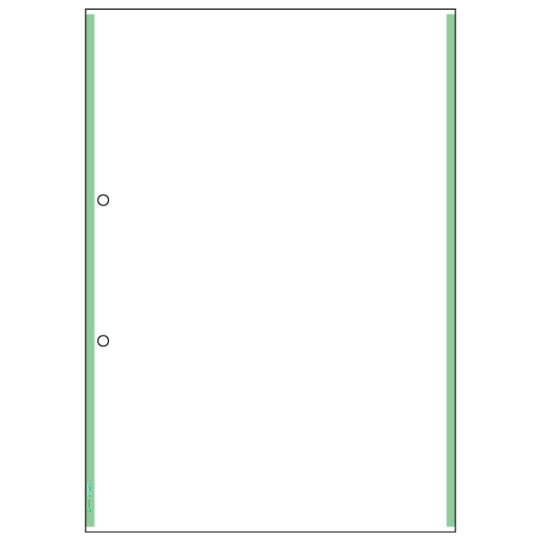 プリンター用紙 マルチプリンタ帳票 A4 ノーカーボン グリーンライン2穴 100入 BPC2203 ヒサゴ