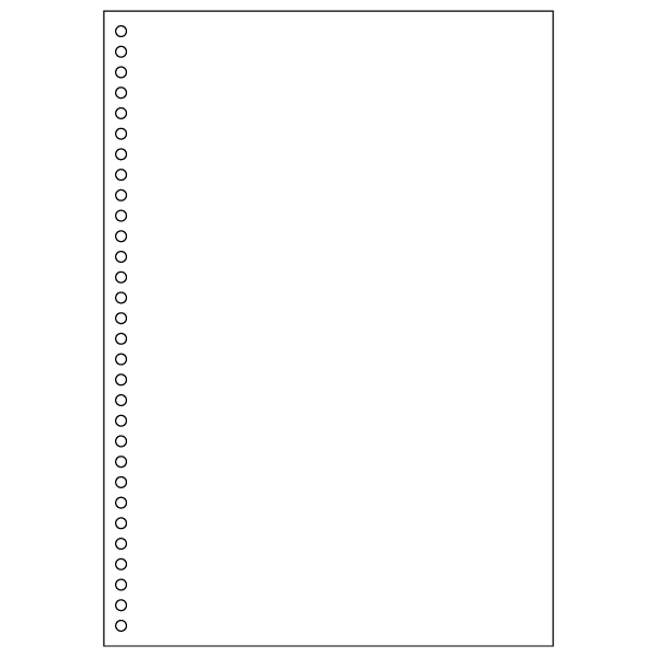 プリンター用紙 FSC(R)認証 マルチプリンタ帳票 A4白紙30穴 大入り 1200入 FSC2049Z ヒサゴ