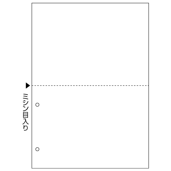 プリンター用紙 FSC(R)認証 マルチプリンタ帳票 A4白紙2面2穴 100入 FSC2084 ヒサゴ
