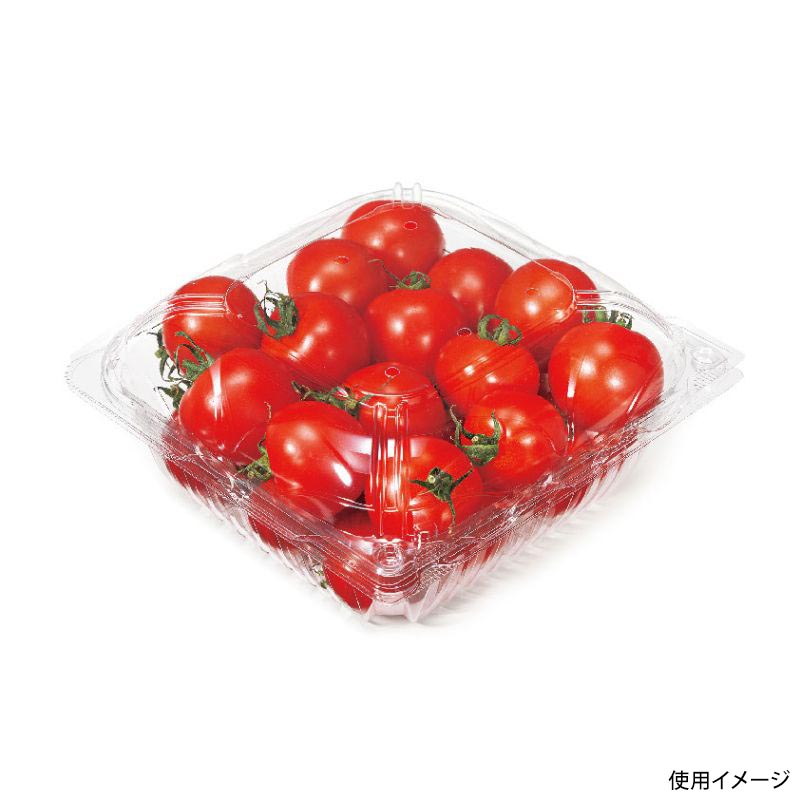 フルーツ容器 バイオ とれたて 19-19(89) リスパック