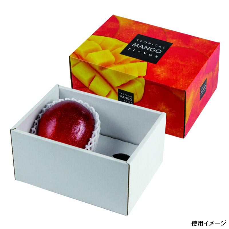 贈答箱 トロピカルマンゴー2ヶ ヤマニパッケージ