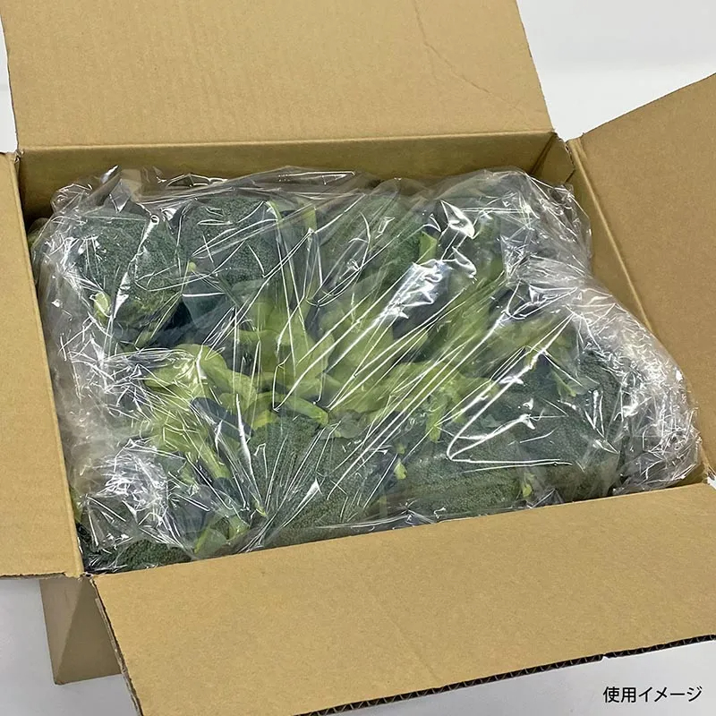 鮮度保持袋 オーラパック大袋9085規格品 ベルグリーンワイズ