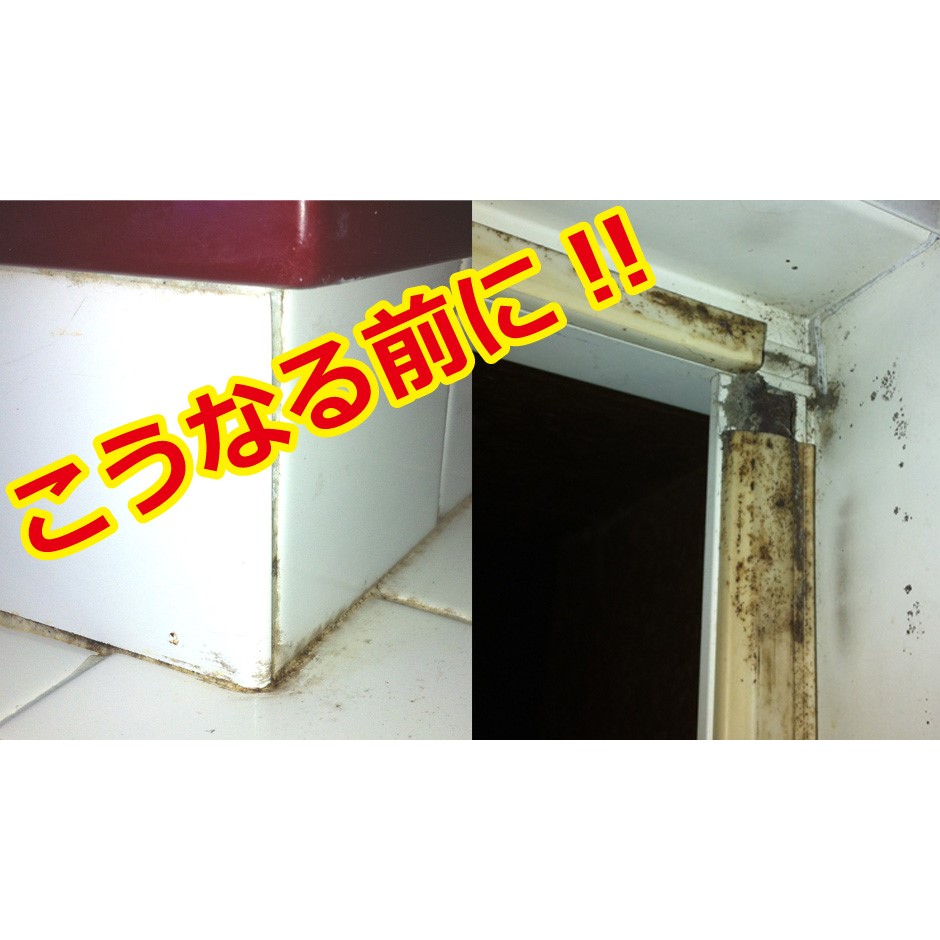住居用洗剤 防カビ工房PRO 業務用 2L UYEKI