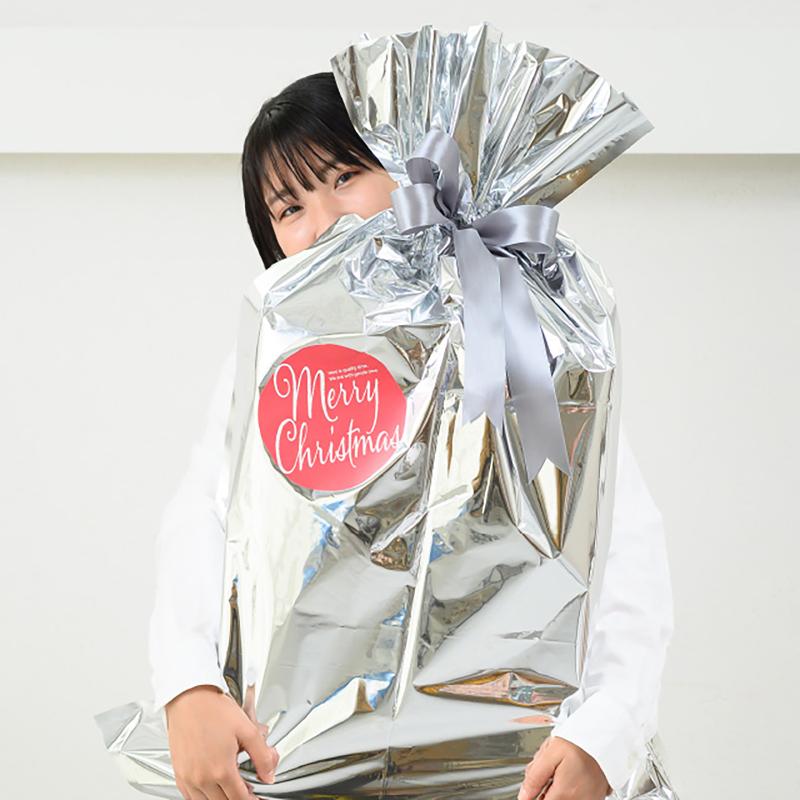 ギフト資材 XP-5S クリスマスギフトシール丸型-5/レッド(30枚) ヘッズ