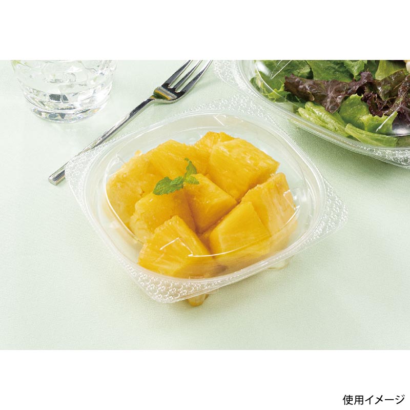 サラダ容器 バイオ ハクリア 13-42B リスパック