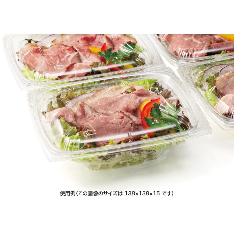 バイオ ナチュール 19-OCA