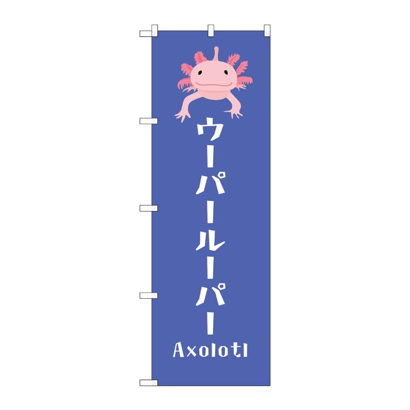 販促用品 [G] のぼり ウーパールーパー GNB-3375 (受注生産品) P・O・Pプロダクツ