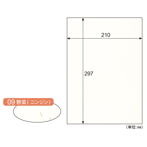 プリンター用紙 サステナブルクラッポ 野菜(ニンジン) 10枚入 ヒサゴ