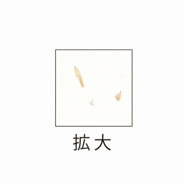 プリンター用紙 サステナブルクラッポ 野菜(ニンジン) 10枚入 ヒサゴ