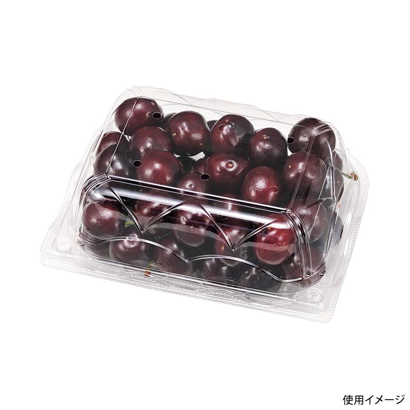 フルーツ容器 NZW17-13(68)AP.6H 小 エフピコチューパ