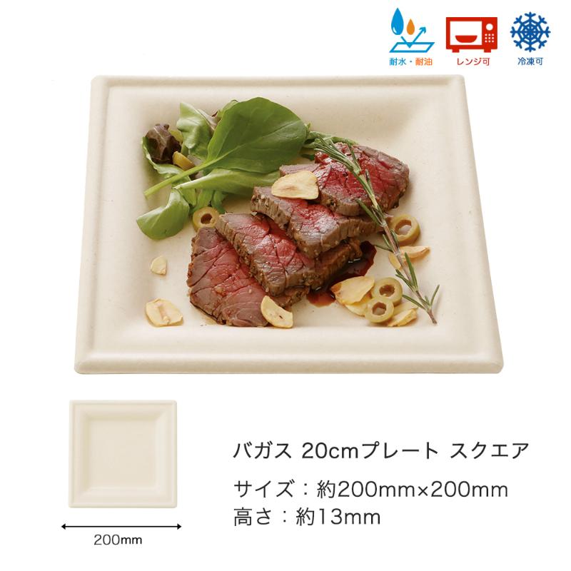 バガスモールド 20cmプレートスクエア 青葉紙業