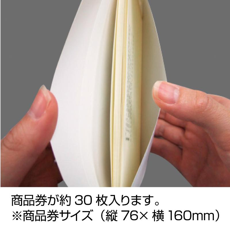 イベント用品 9-360 商品券袋 横封式 For You100枚入り ササガワ