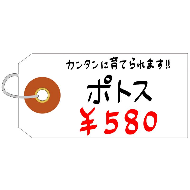 提札 25-1210 ユポ荷札 豆 1000枚入 ササガワ
