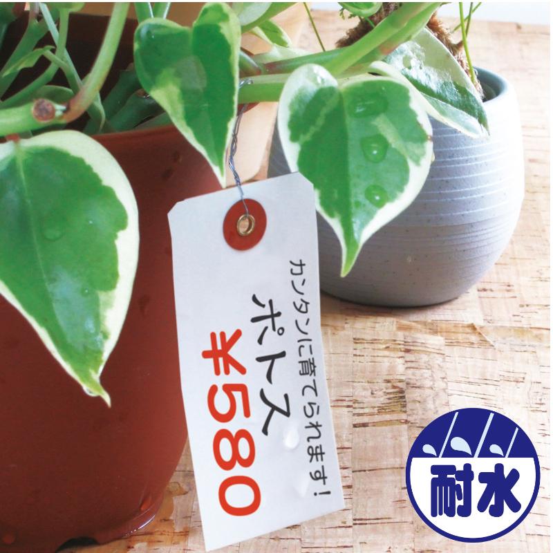提札 25-1220 ユポ荷札 中 1000枚入 ササガワ