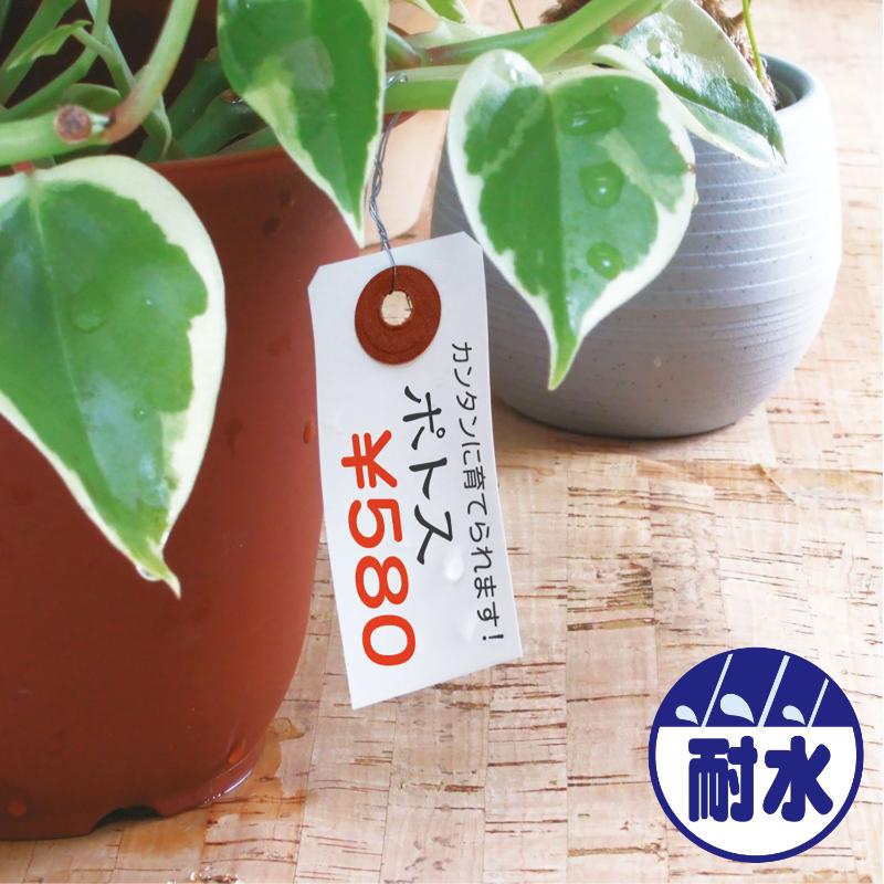 提札 25-1310 耐水紙荷札 豆 2000枚入 ササガワ