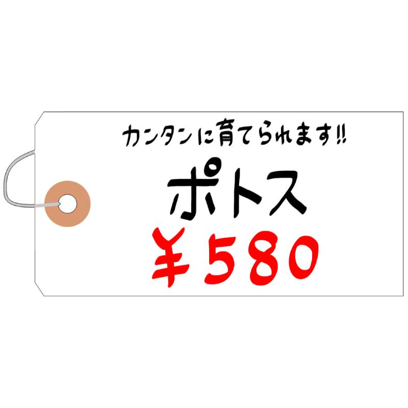 提札 25-1320 耐水紙荷札 中 1000枚入 ササガワ