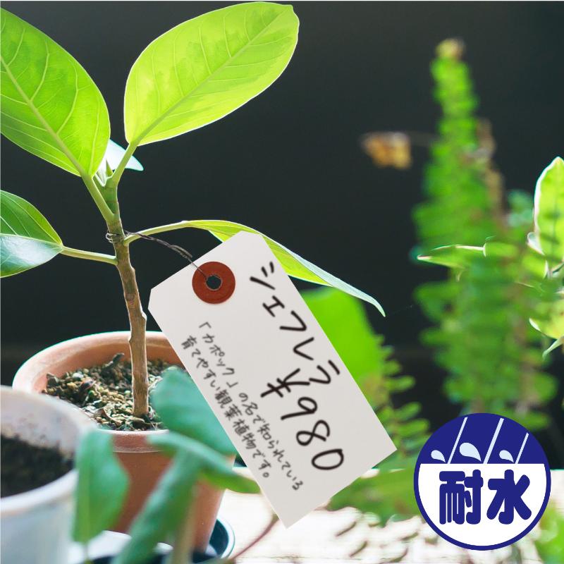 提札 25-1320 耐水紙荷札 中 1000枚入 ササガワ