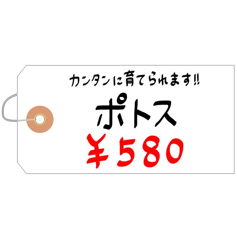 提札 25-170 荷札 布札白 防水加工仕上 1000枚入 ササガワ