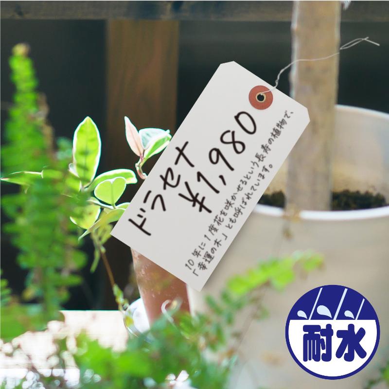 提札 25-170 荷札 布札白 防水加工仕上 1000枚入 ササガワ