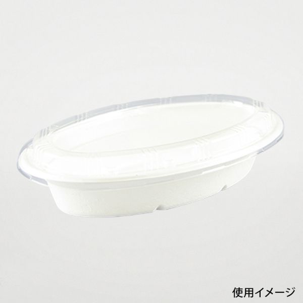 カレー容器 新ABカレー C-２ ラミ パックスタイル
