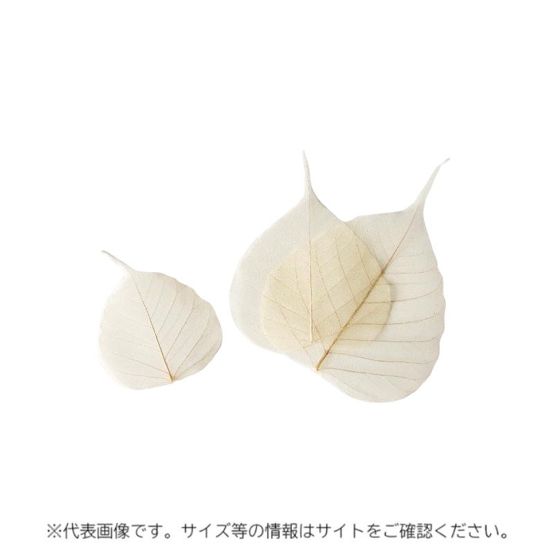 新涼木の葉 100枚入 S 萬洋