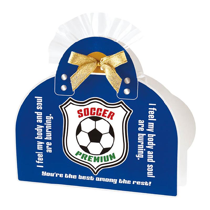 贈答箱 SPT-CVB2 スポーツカバーバッグ-2/サッカー(10枚) ヘッズ