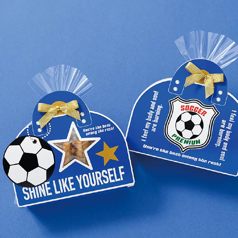 贈答箱 SPT-CVB2 スポーツカバーバッグ-2/サッカー(10枚) ヘッズ